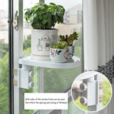 Nail-Free Storage Holder Shelves