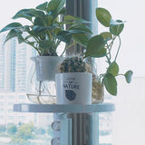 Nail-Free Storage Holder Shelves