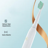 Rechargeable Waterproofing Electric Toothbrush