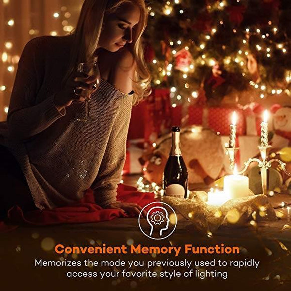 Remote Control Waterproof LED Lights