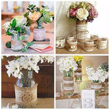 Natural Burlap Lace Craft Ribbon Roll